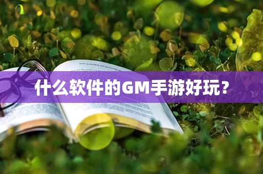 什么软件的GM手游好玩？