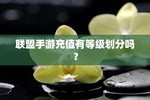 联盟手游充值有等级划分吗？