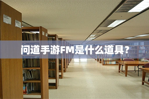问道手游FM是什么道具？