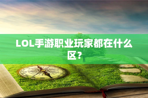 LOL手游职业玩家都在什么区？