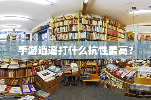 手游逍遥打什么抗性最高？