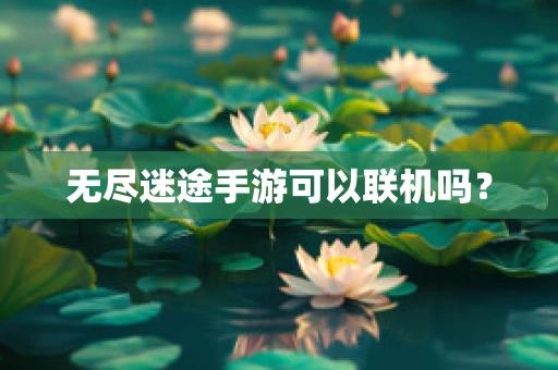 无尽迷途手游可以联机吗？