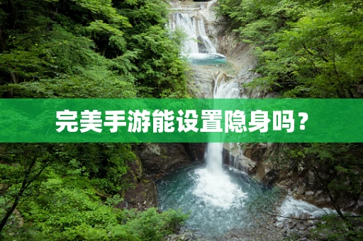 完美手游能设置隐身吗？