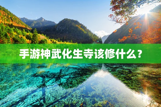 手游神武化生寺该修什么？