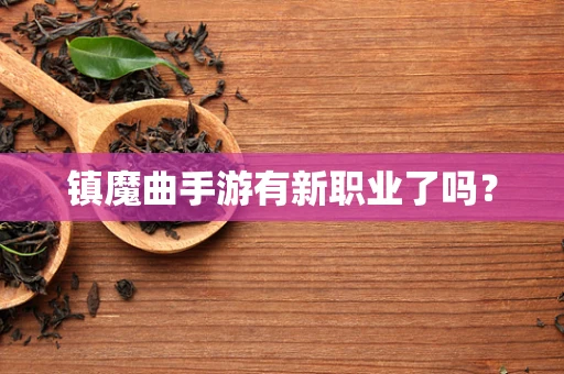 镇魔曲手游有新职业了吗？