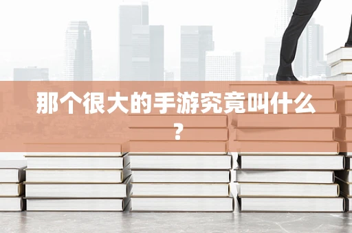 那个很大的手游究竟叫什么？