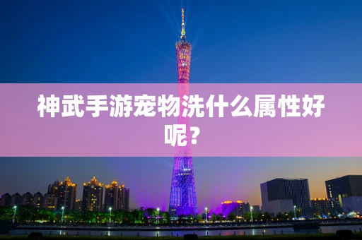 神武手游宠物洗什么属性好呢？