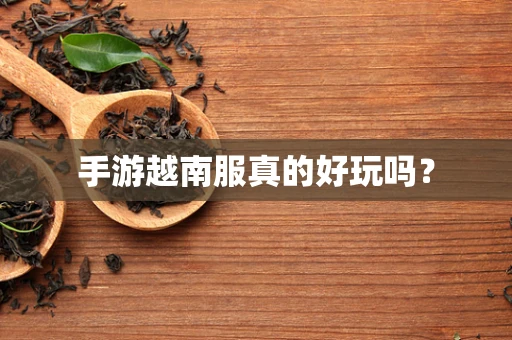 手游越南服真的好玩吗？