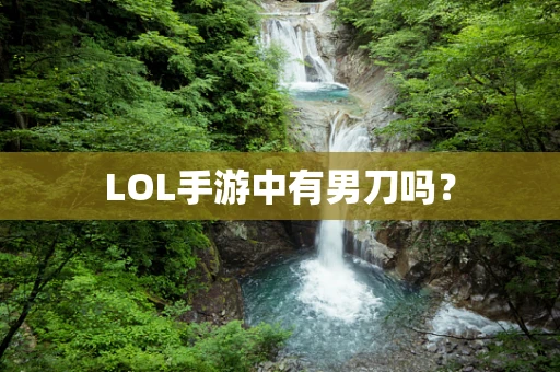 LOL手游中有男刀吗？