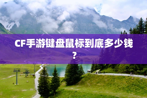 CF手游键盘鼠标到底多少钱？