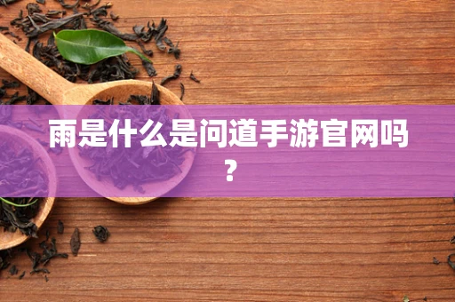 雨是什么是问道手游官网吗？
