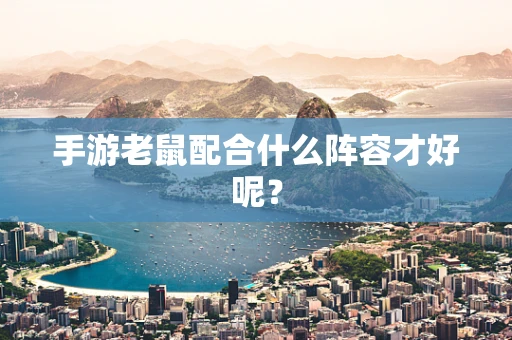 手游老鼠配合什么阵容才好呢？