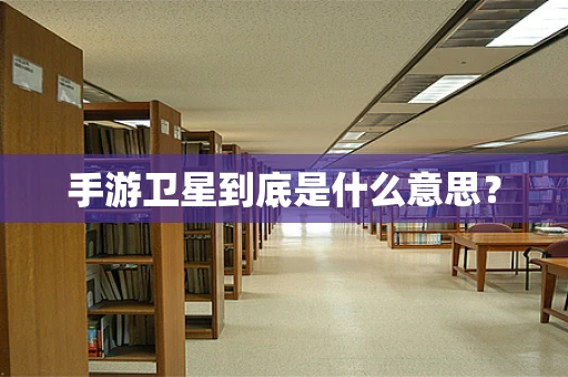 手游卫星到底是什么意思？
