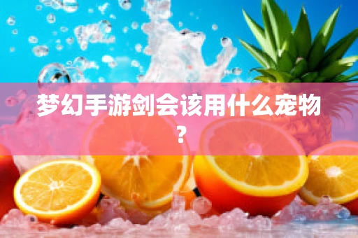 梦幻手游剑会该用什么宠物？