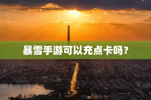 暴雪手游可以充点卡吗？