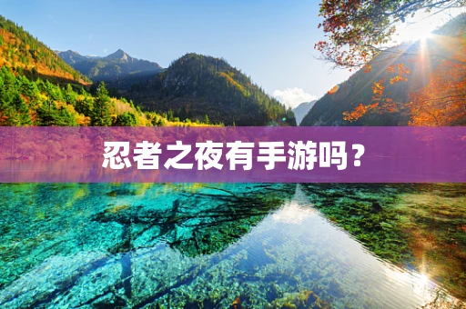 忍者之夜有手游吗？