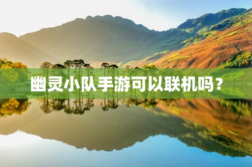 幽灵小队手游可以联机吗？