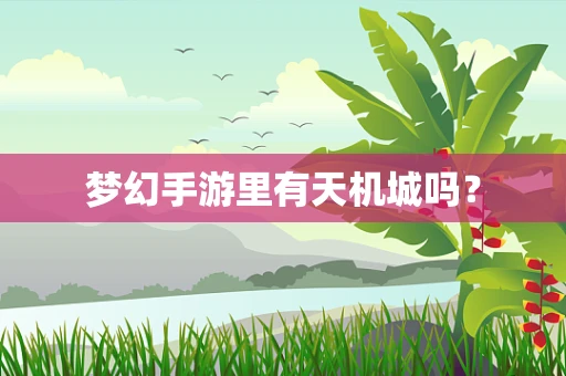 梦幻手游里有天机城吗？
