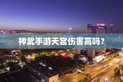 神武手游天宫伤害高吗？