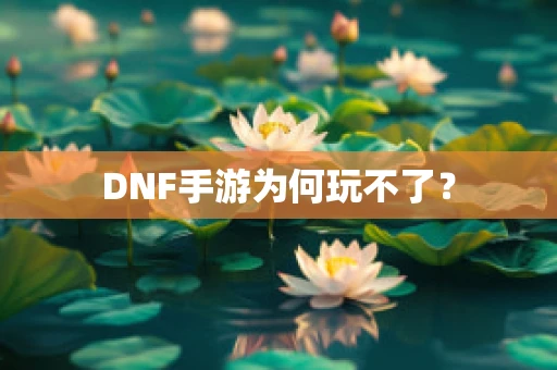 DNF手游为何玩不了？