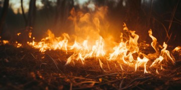 火影手游中那首遗憾歌曲究竟叫什么？